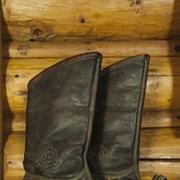 Cover image of  Boots